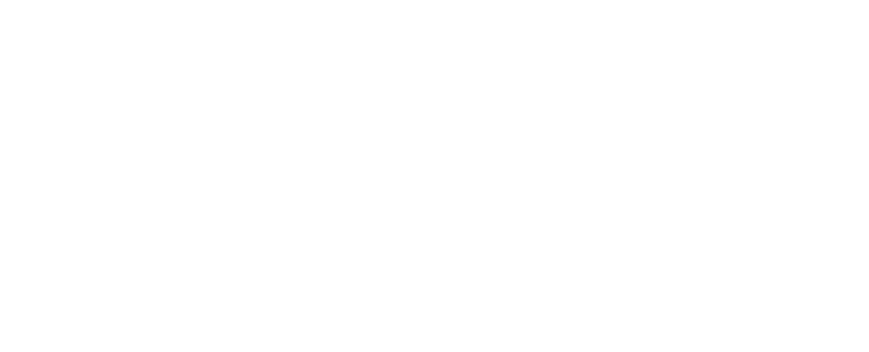 ejidozone